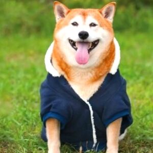 Outdoor Dog Sherpa Warmup Coat. XS. New.